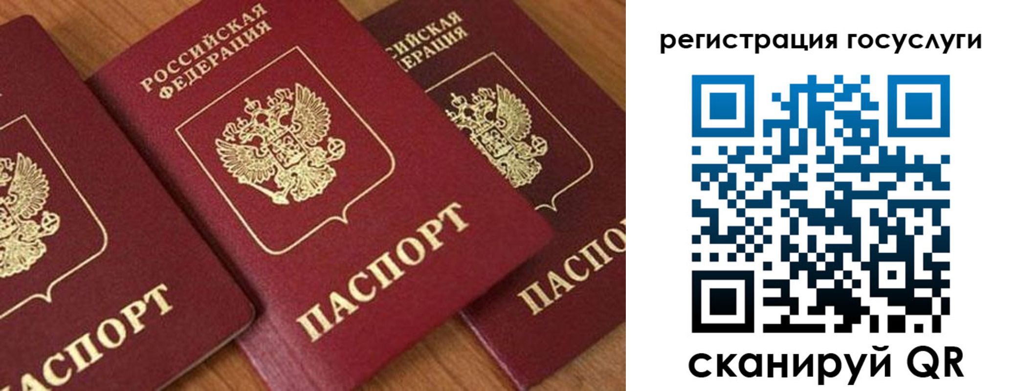 временная регистрация гарантия в Ельне
