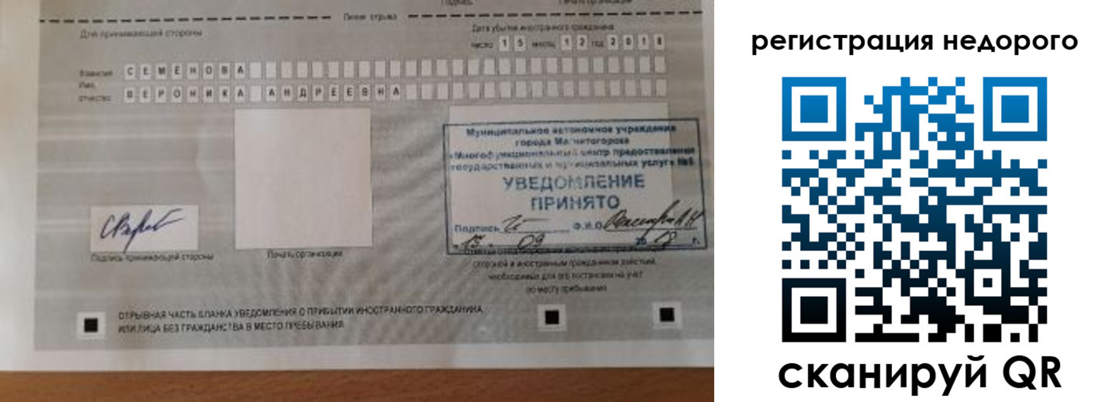 прописка гарантия в Ельне